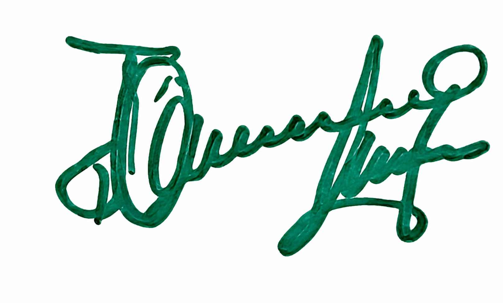 CEO Signature